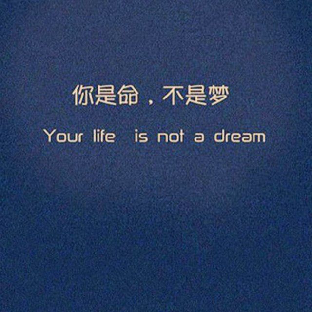来自陌陌个人资料